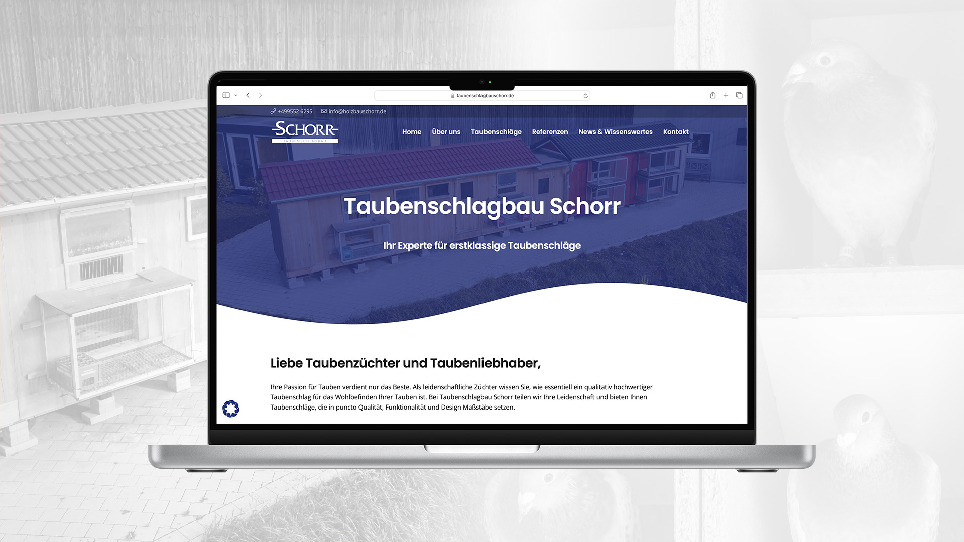 Taubenschlagbau Schorr Homepage